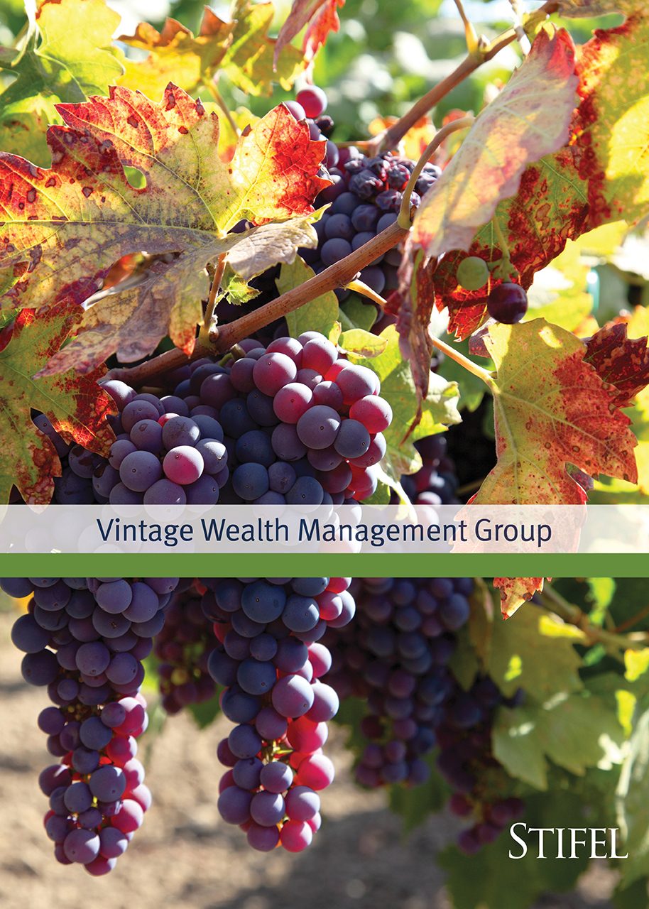 Vintage Wealth Management Group Bio Brochure Cover